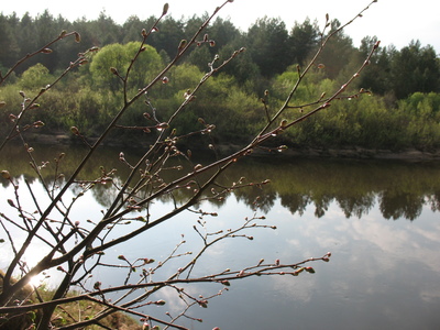2009-05-07_18-27-21.JPG
