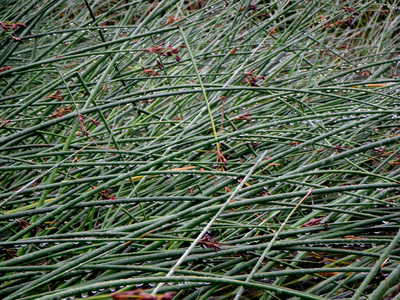 2010-06-16_07-15-17.jpg