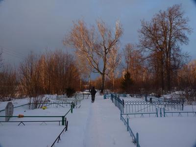 2011-03-06_14-45-56.JPG