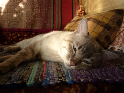 2009-11-22_12-25-03.jpg