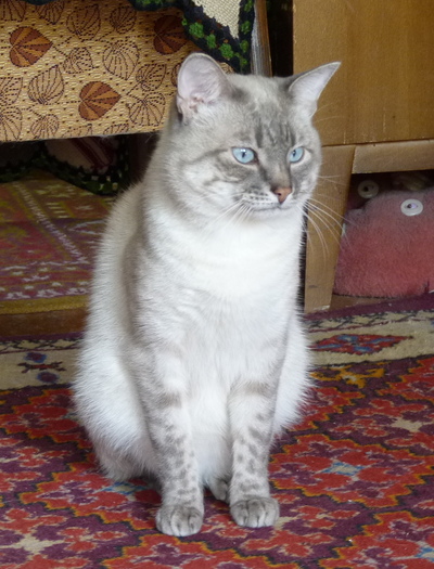 2010-05-20_12-38-36.jpg
