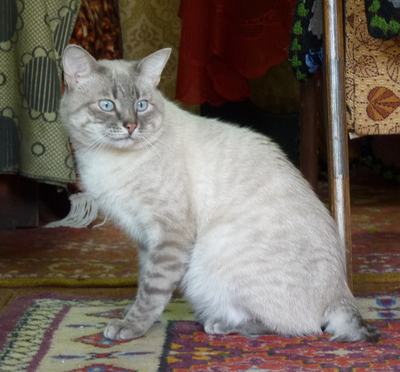 2010-05-20_12-41-04.jpg