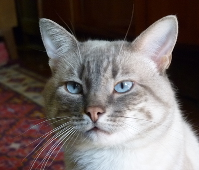 2010-05-20_12-45-30.jpg