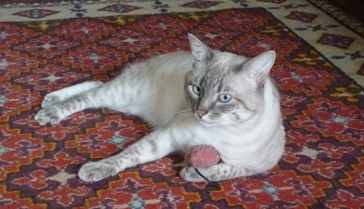 2010-05-20_12-48-24.jpg
