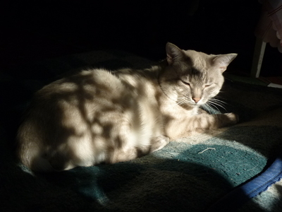 2010-05-20_13-08-42.jpg