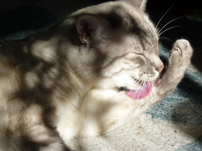 2010-05-20_13-16-56.jpg