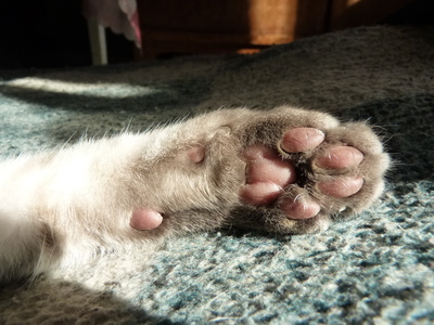2010-05-20_13-19-38.jpg