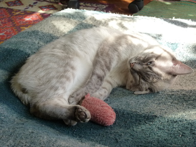 2010-05-20_13-39-46.jpg