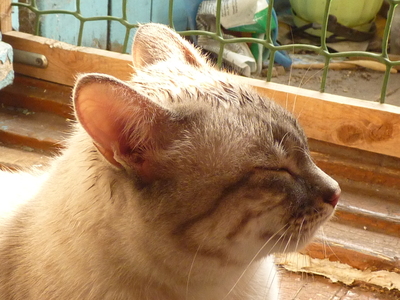 2010-08-16_13-06-38.jpg