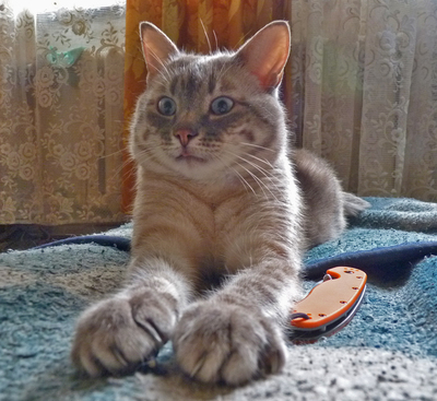 2011-07-23_15-19-44.jpg