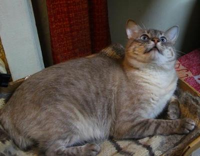 IMG_0404.JPG