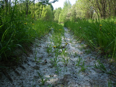 2011-05-21_07-13-08.jpg