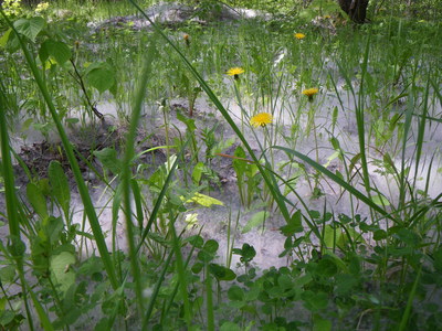 2011-05-21_08-39-32.jpg