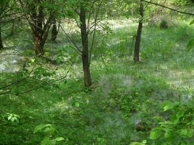 2011-05-21_08-41-56.jpg