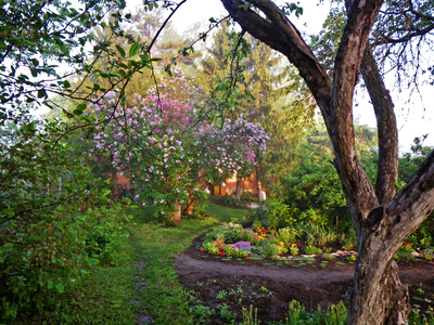 2011-05-22_02-08-23.jpg