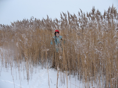 2009-01-10_11-16-12.jpg